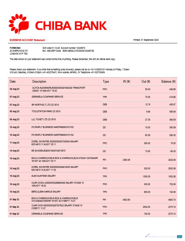 Download Chiba Bank company checking account statement Word and PDF template Photoshop template